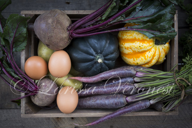 Herbstliche Gemüse-Kiste mit Kürbis, Roter Beete, lila Karotten, Kartoffeln und Eiern